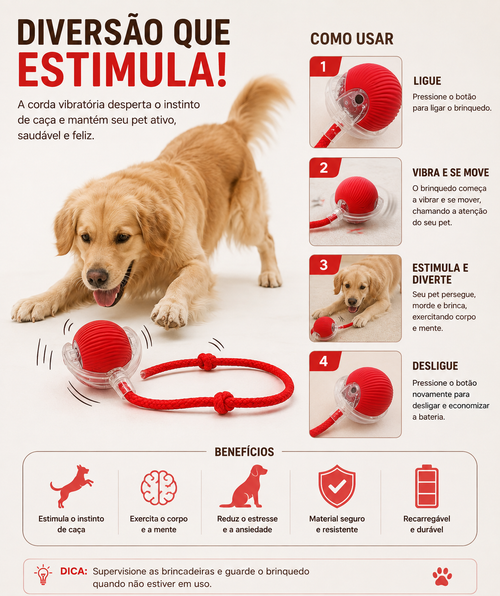 Brinquedo Interativo Vibratório para Cães | Patamood™